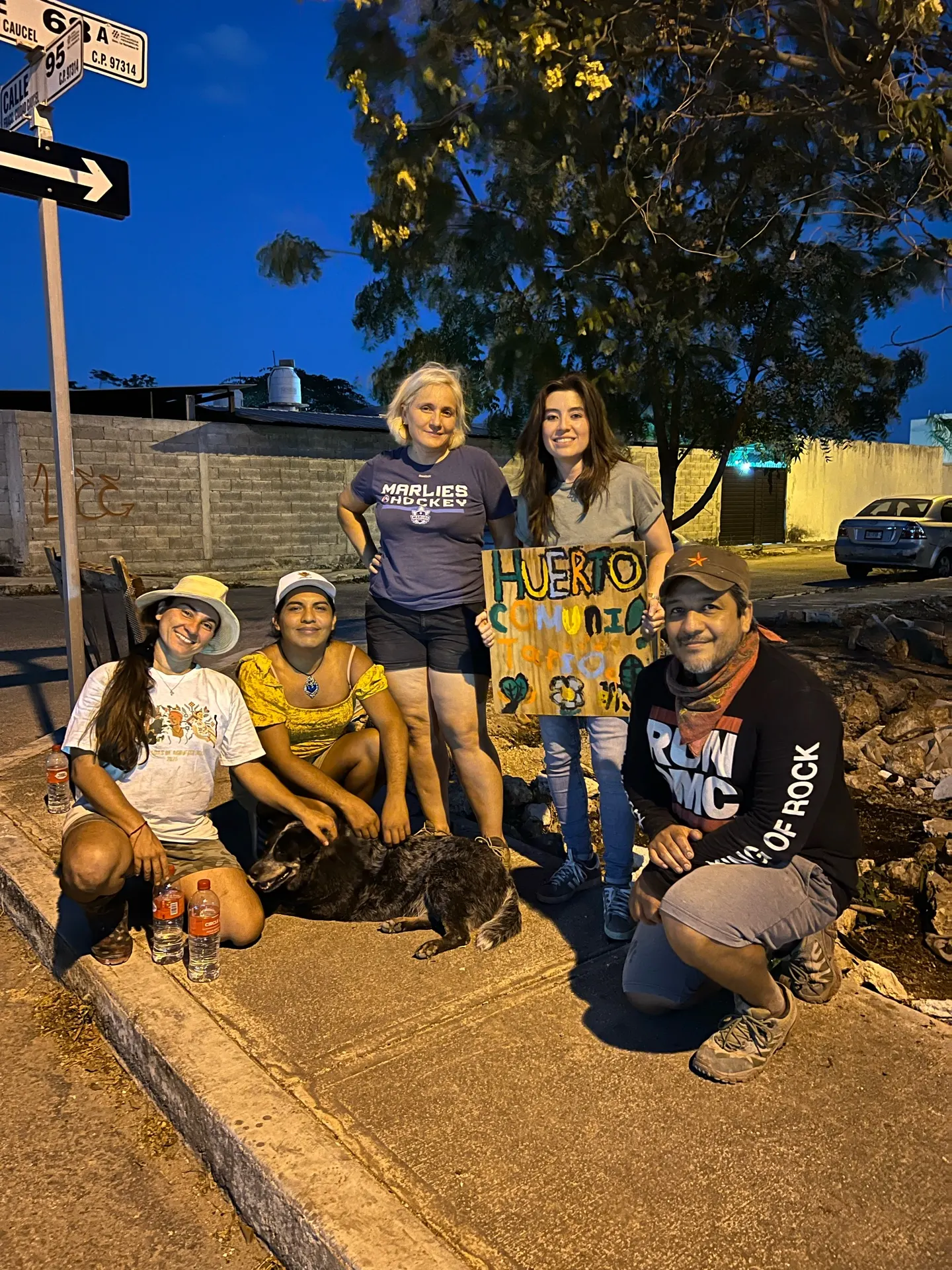 Grupo de vecinas plantando un árbol joven en un parque de colonia.